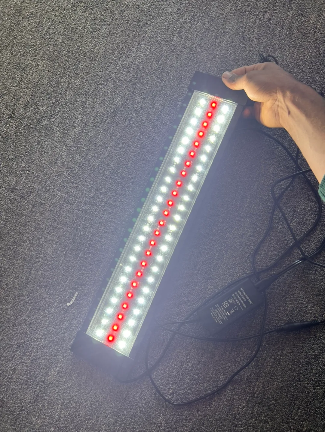 Aquarium light [FIRST COME, FIRST SERVE] image indicator(5)