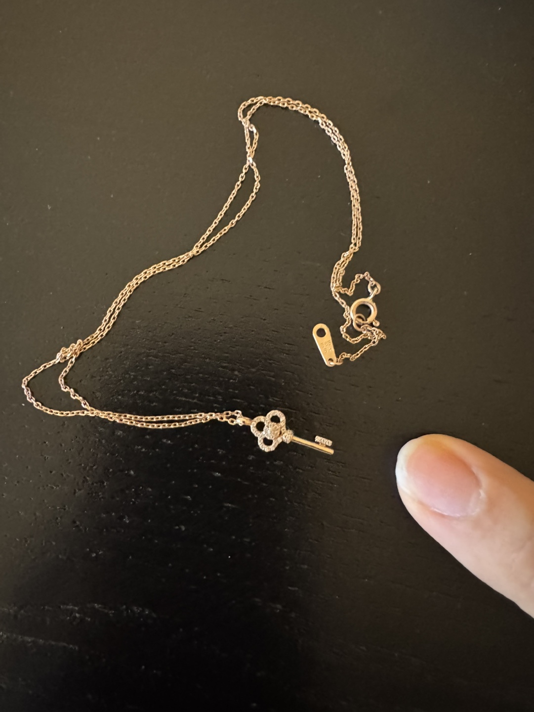 Rose Gold Key Necklace