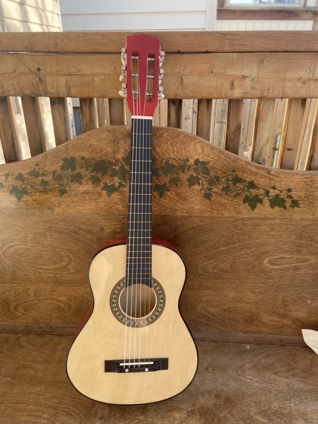 Beginner's Acoustic Guitar