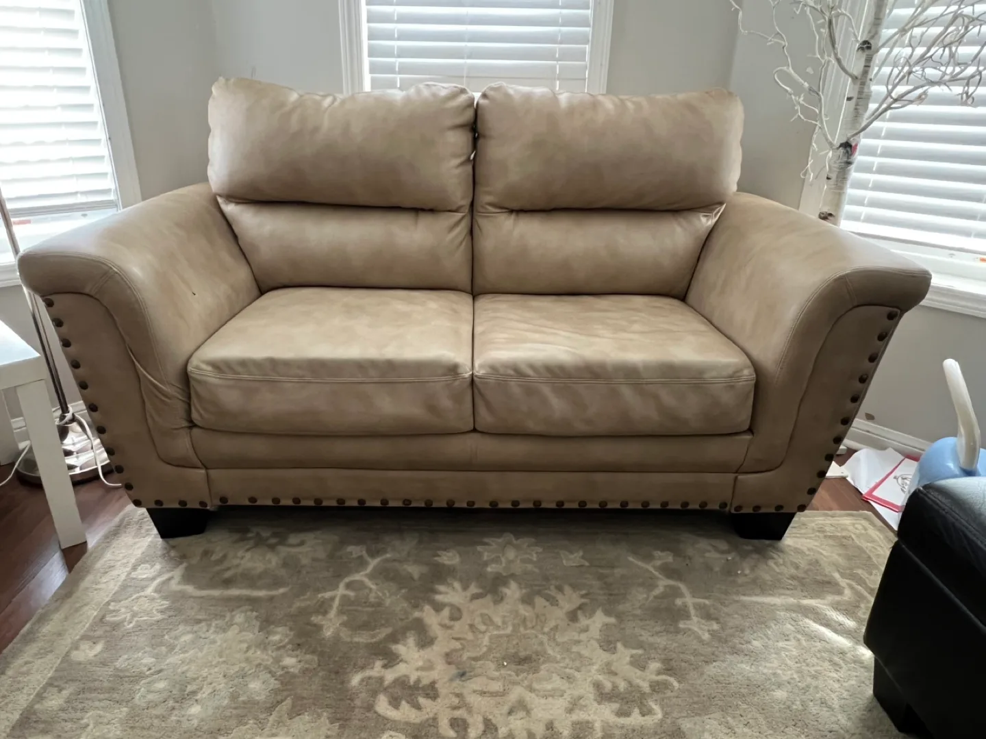 Beige Leather Sofa and Loveseat Set image indicator(2)