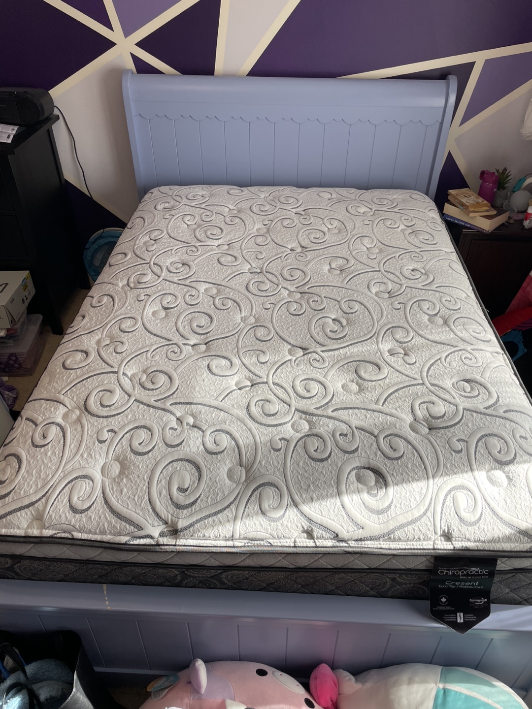 Bed Frame & box spring with Chiropractic Crescent Mattress