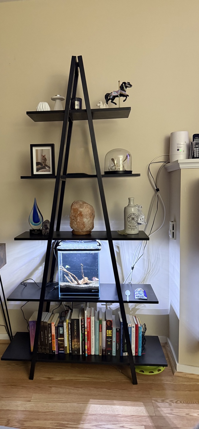 Black A-Frame Ladder Shelf