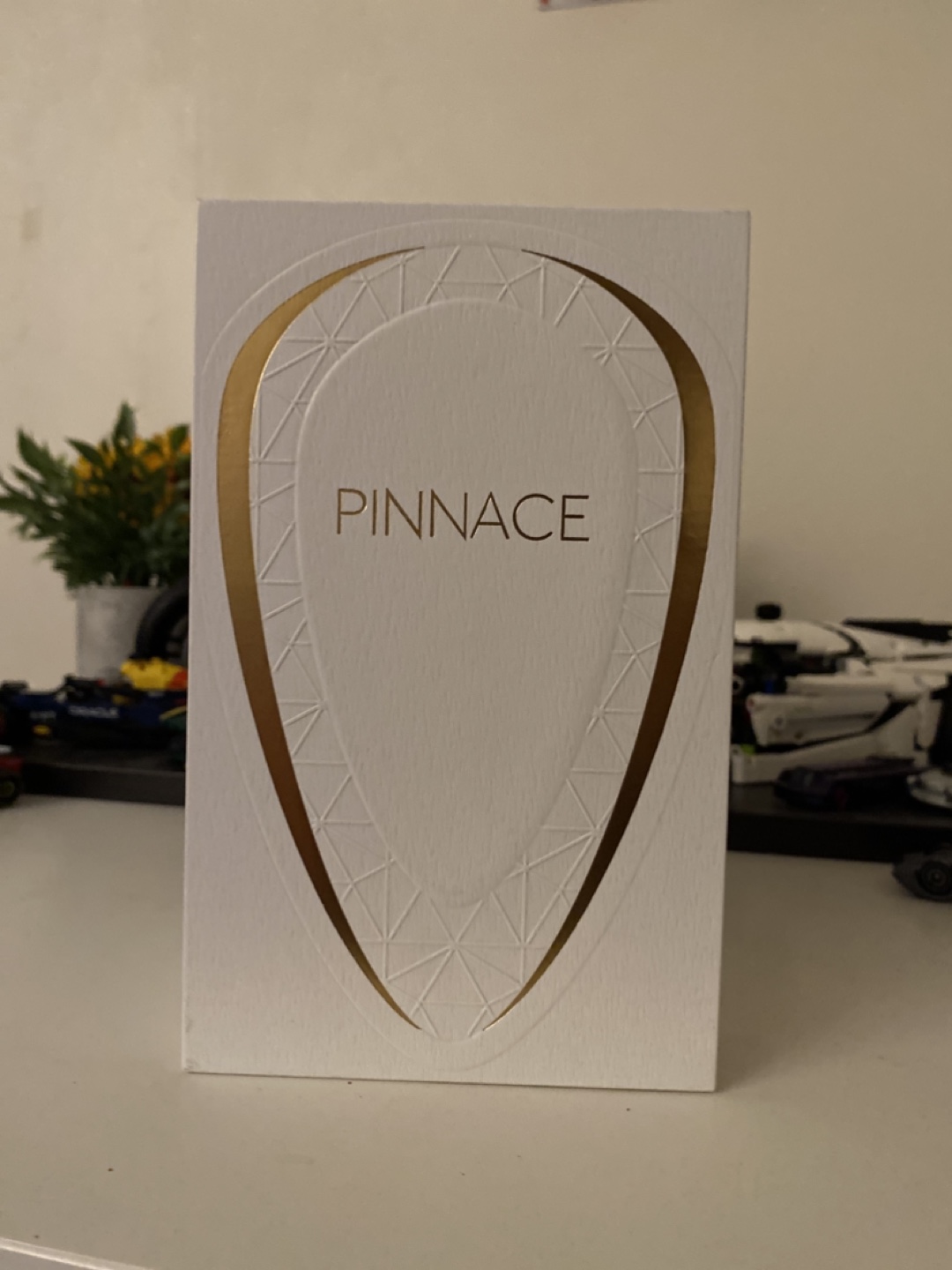 Pinnacle Facial Massage Tool - photo 3