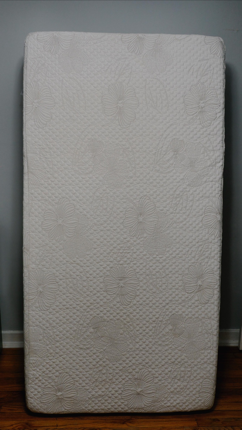 Olee Sleep 10 Inch Memory Foam Mattress, Twin, Blue