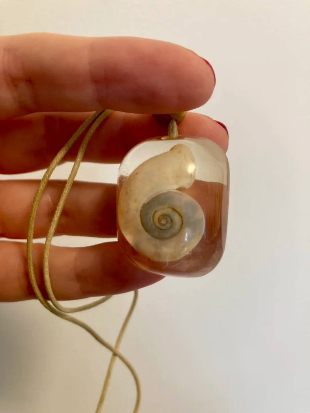 Handmade Resin Seashell necklace image indicator(2)