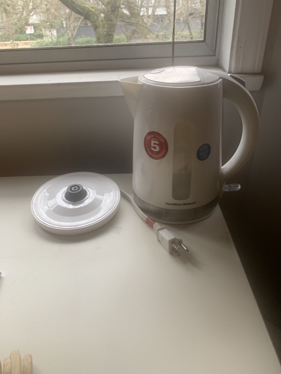 Hamilton Beach Electric Kettle