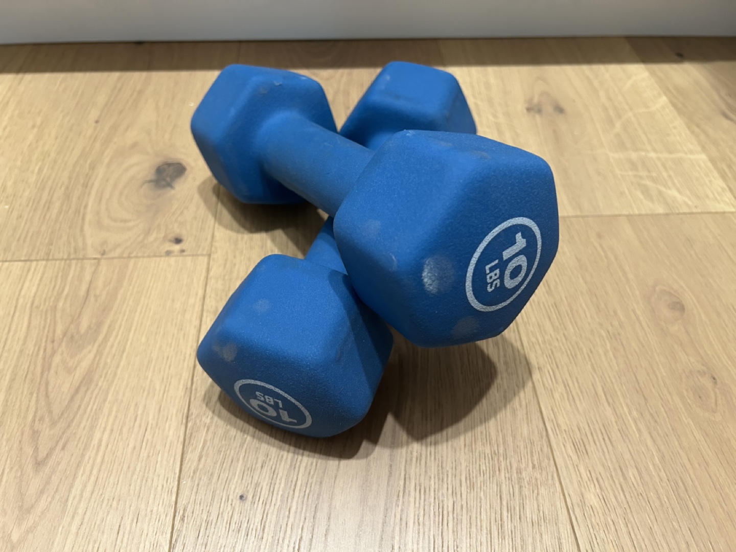 Pair of 10lb Blue Dumbbells