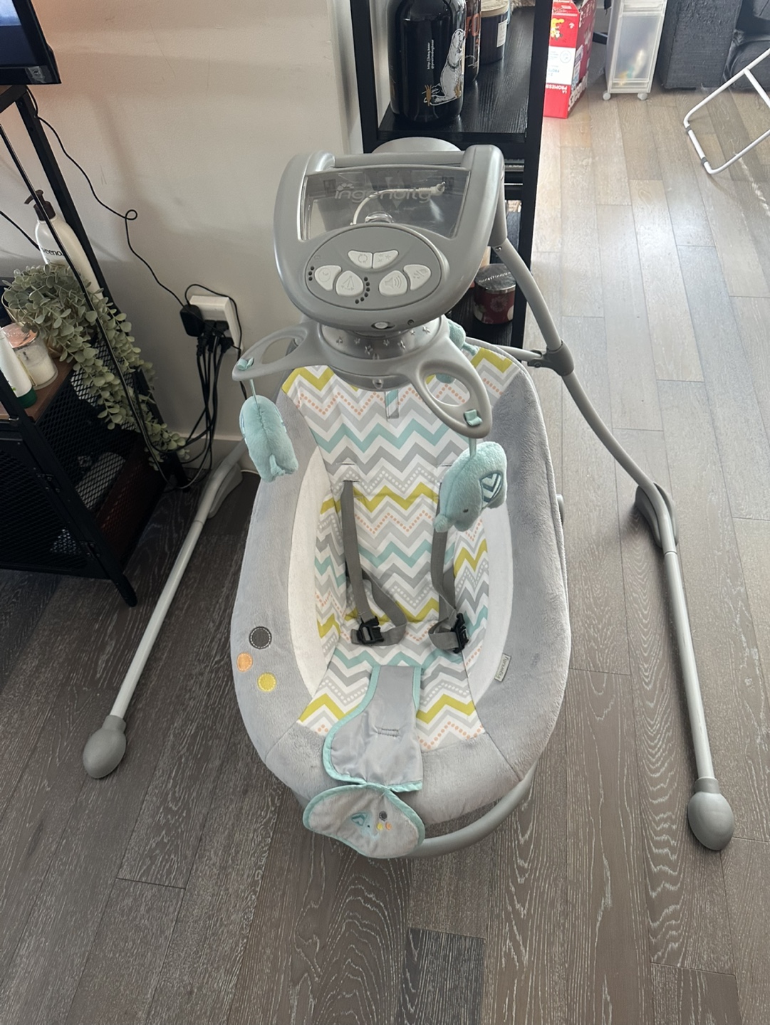Ingenuity Baby Swing