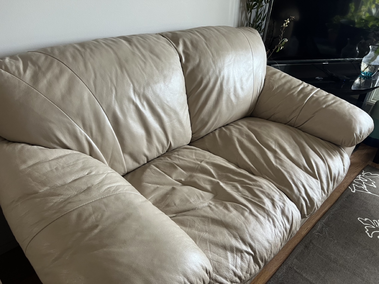 Beige Leather Sofa Set