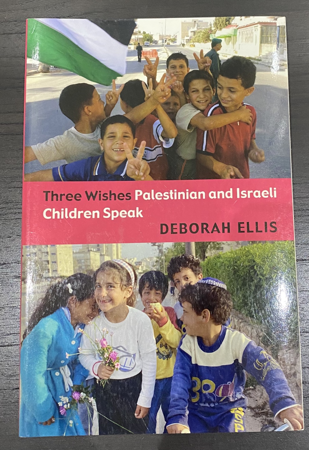 Three Wishes: Palestinian and Israeli Children Speak