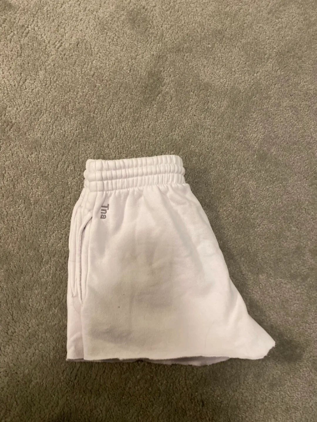 Aritzia Tna Sweatshorts image indicator(2)