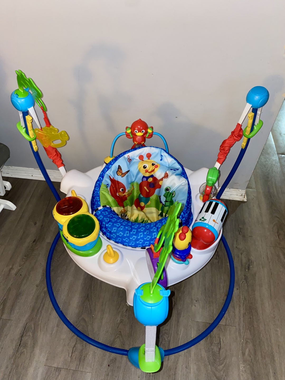 Baby Einstein Neighbourhood Symphony Activity Jumper