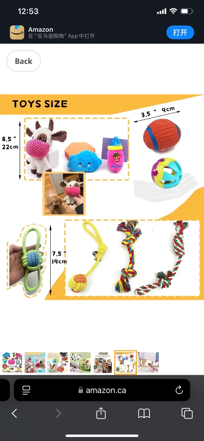 Variety Pack of Dog Toys image indicator(6)