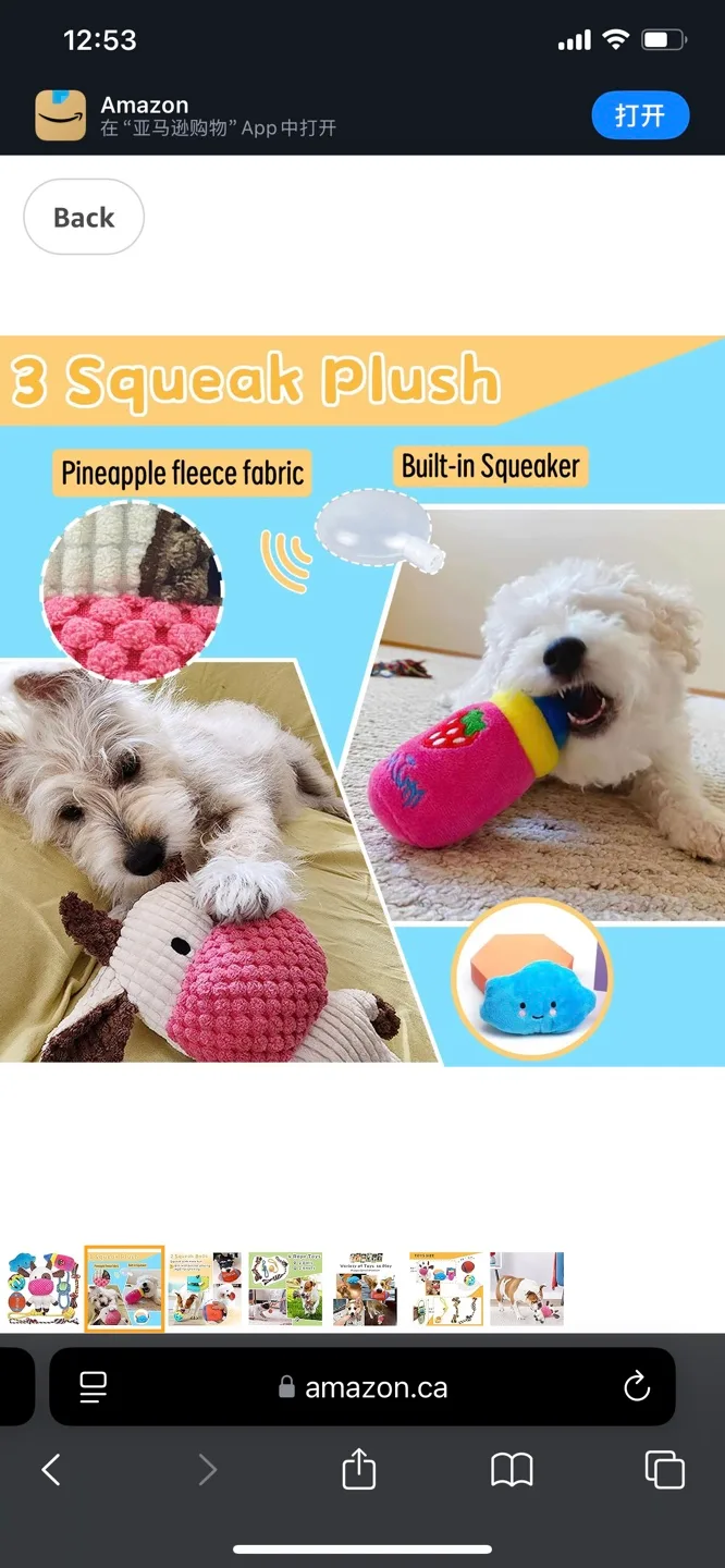 Variety Pack of Dog Toys image indicator(2)