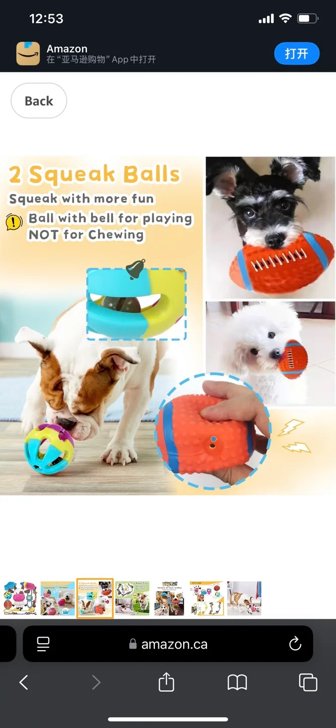Variety Pack of Dog Toys image indicator(3)