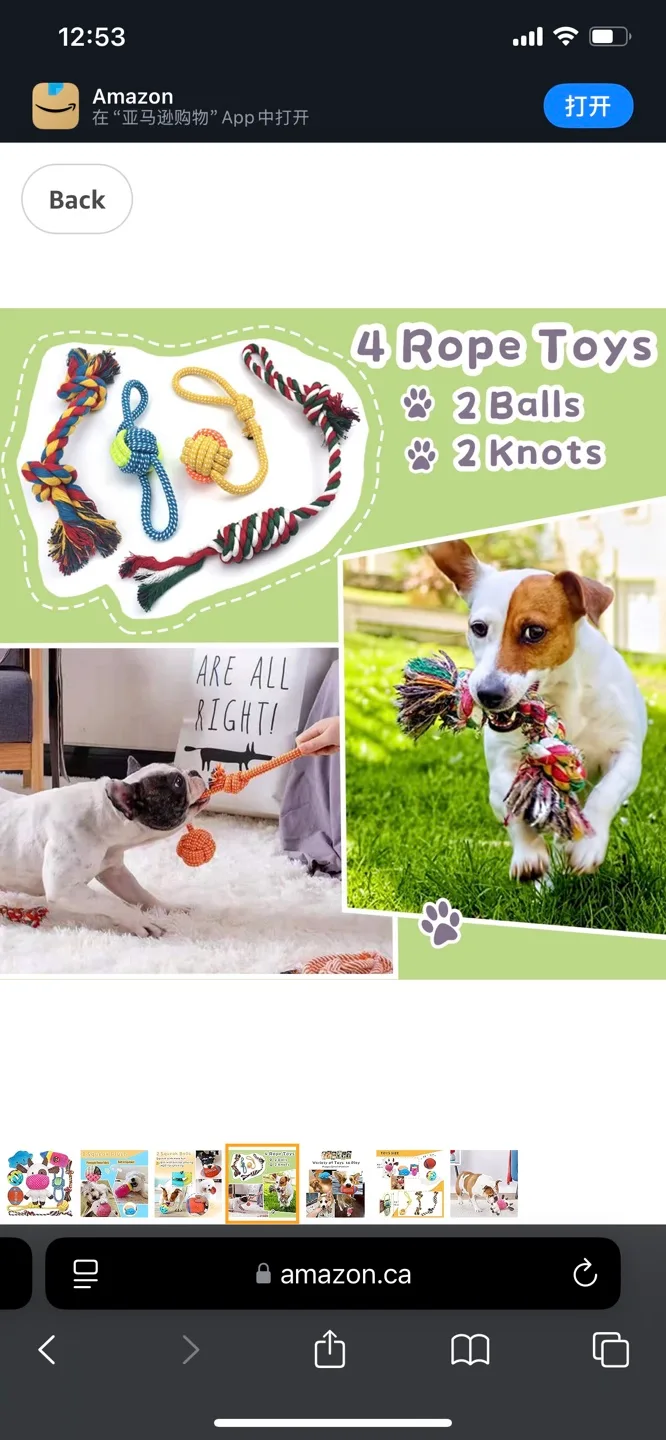 Variety Pack of Dog Toys image indicator(4)