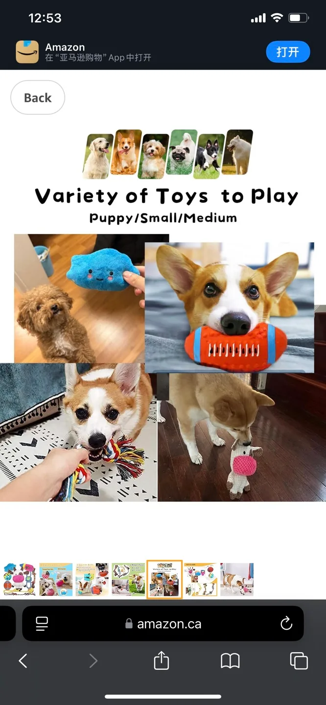 Variety Pack of Dog Toys image indicator(5)