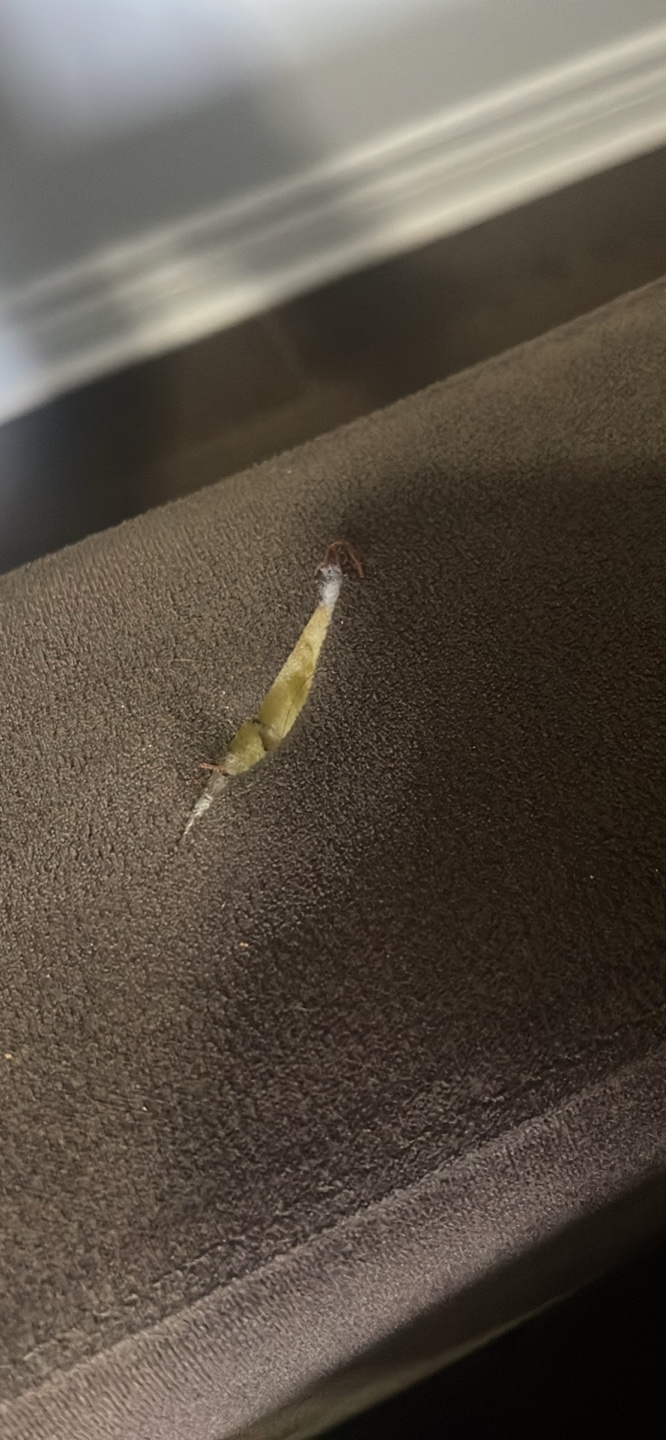 Brown Sectional Sofa with Minor Damage - photo 4