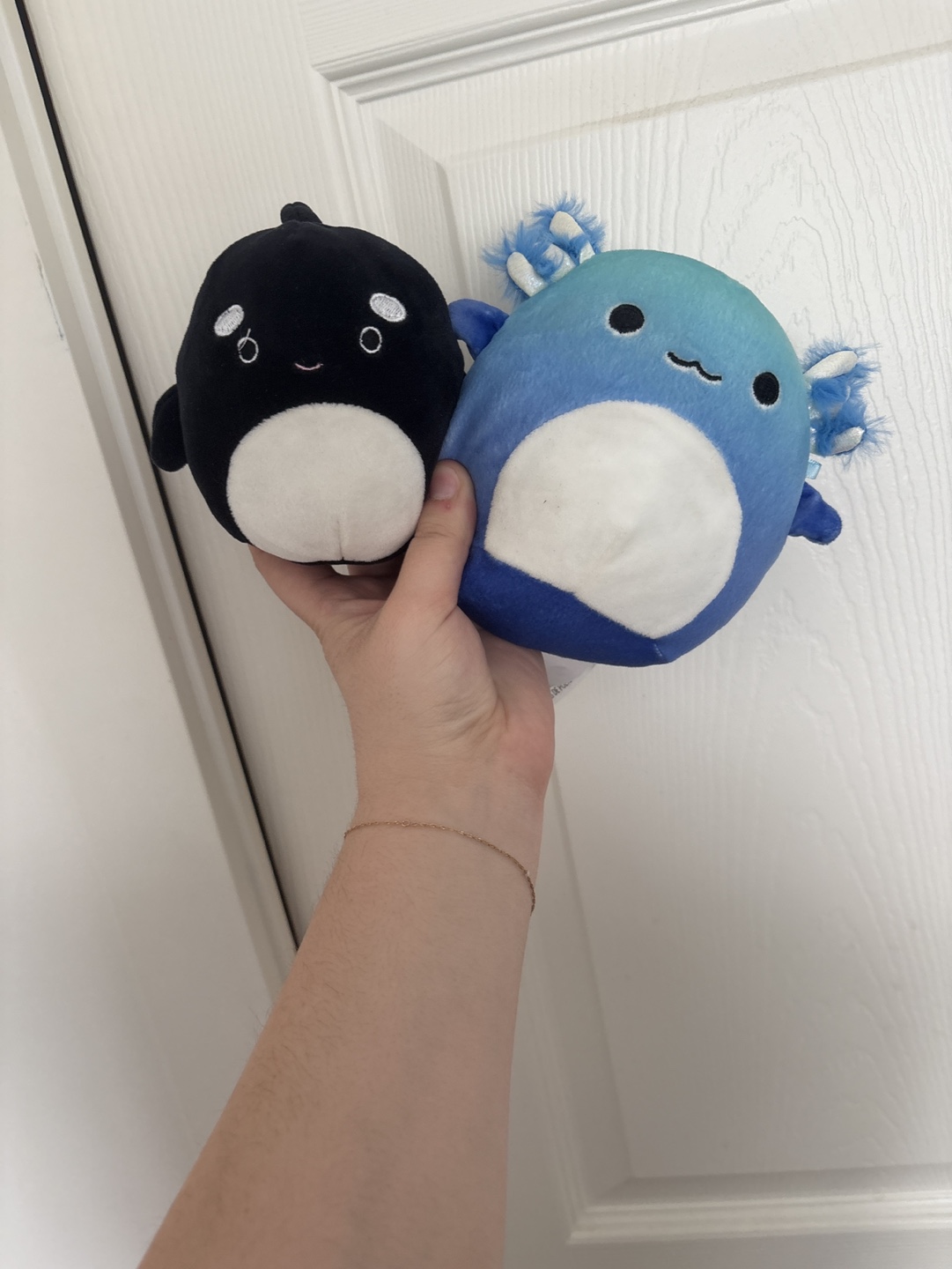 Squishmellow bundle RARE axolotl squishmellow