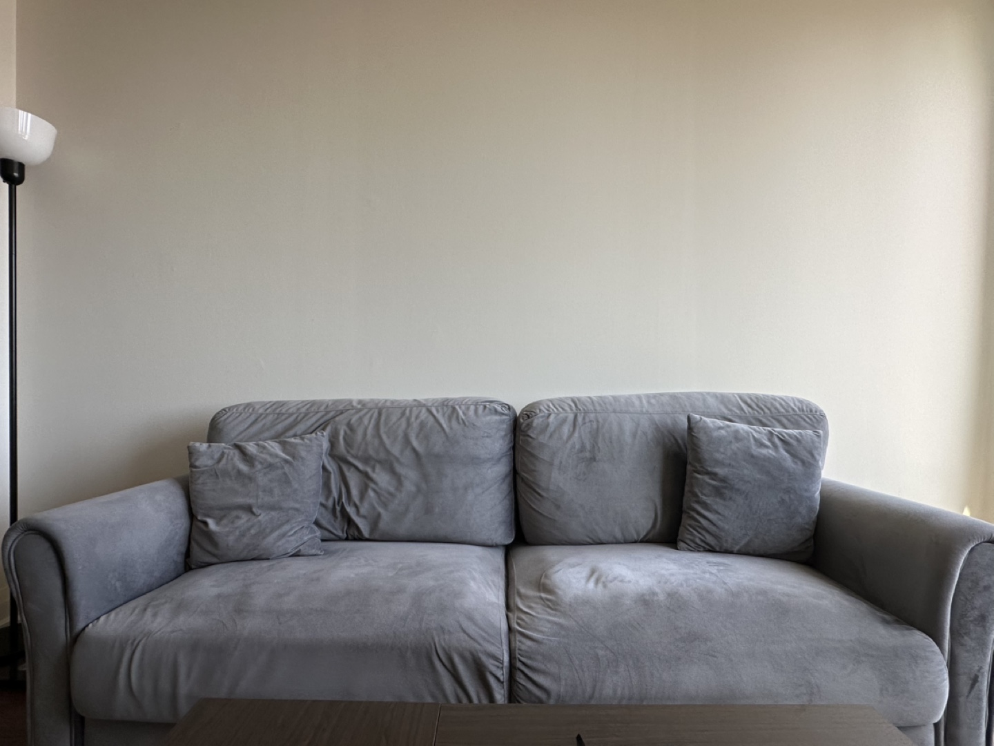 Grey Velvet Sofa