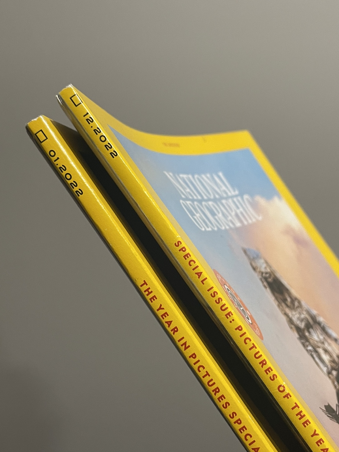 Special Edition National Geographic Magazines - Year in Pictures - photo 2