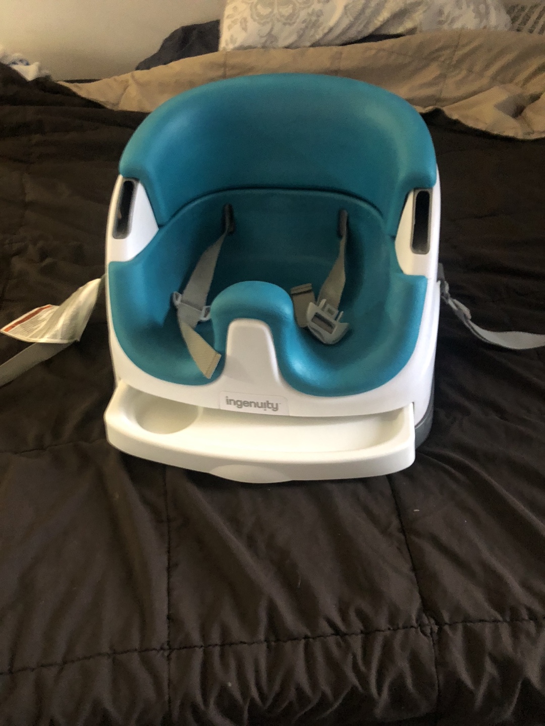 Ingenuity Baby Booster Seat Teal
