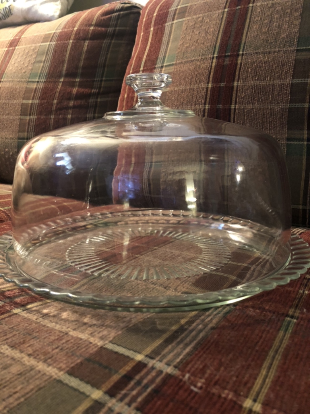 Vintage Cake Display Dome NEW
