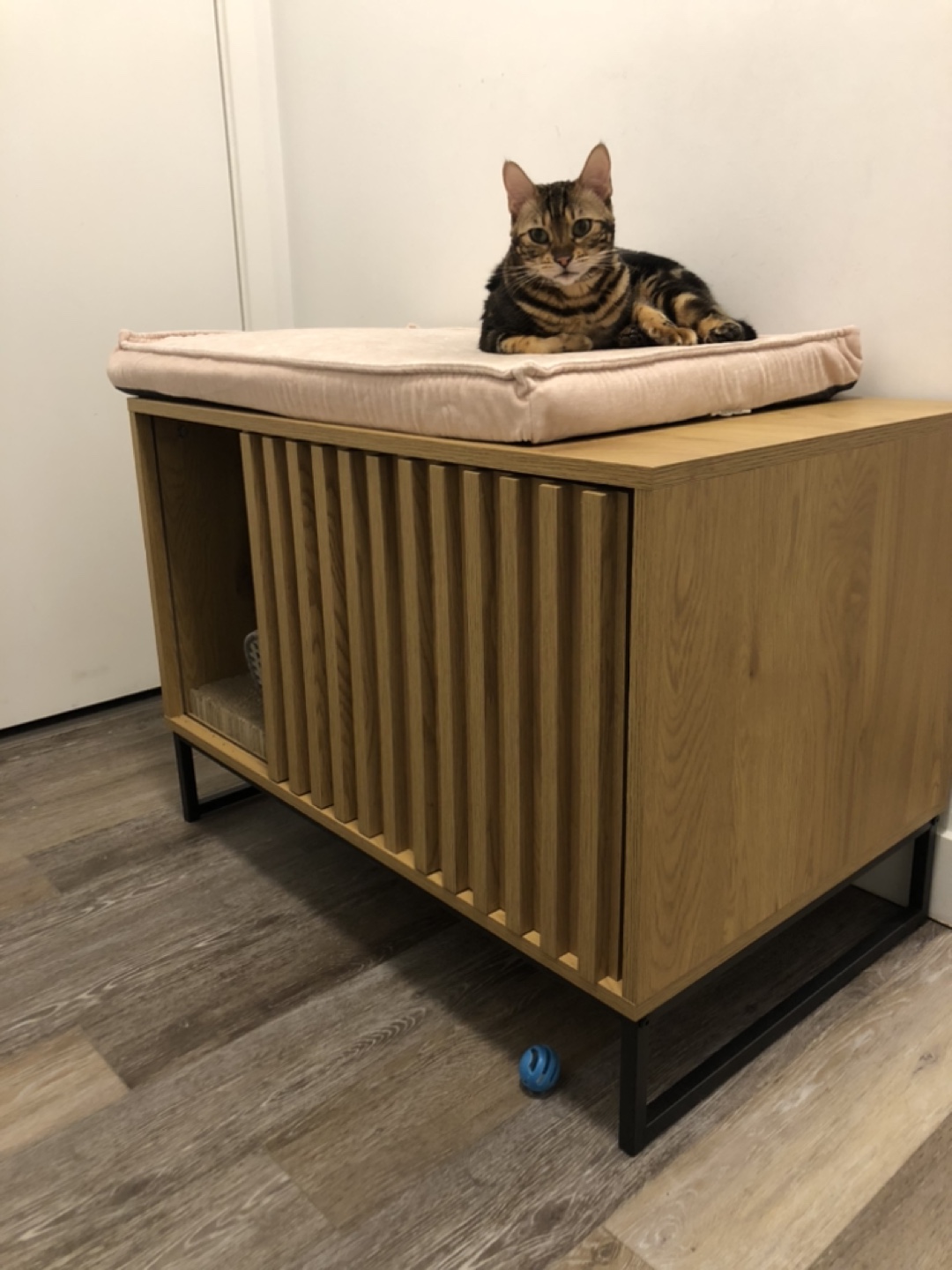Modern Cat Litter Box Cabinet