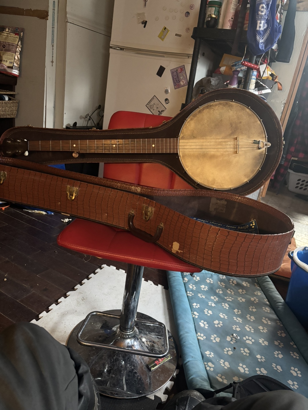 Vintage Harmony Tenor Banjo with Hard Case