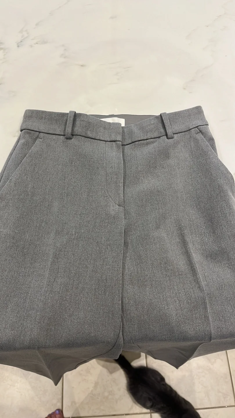 Women's Grey Ankle Pants - Size 4 image indicator(5)