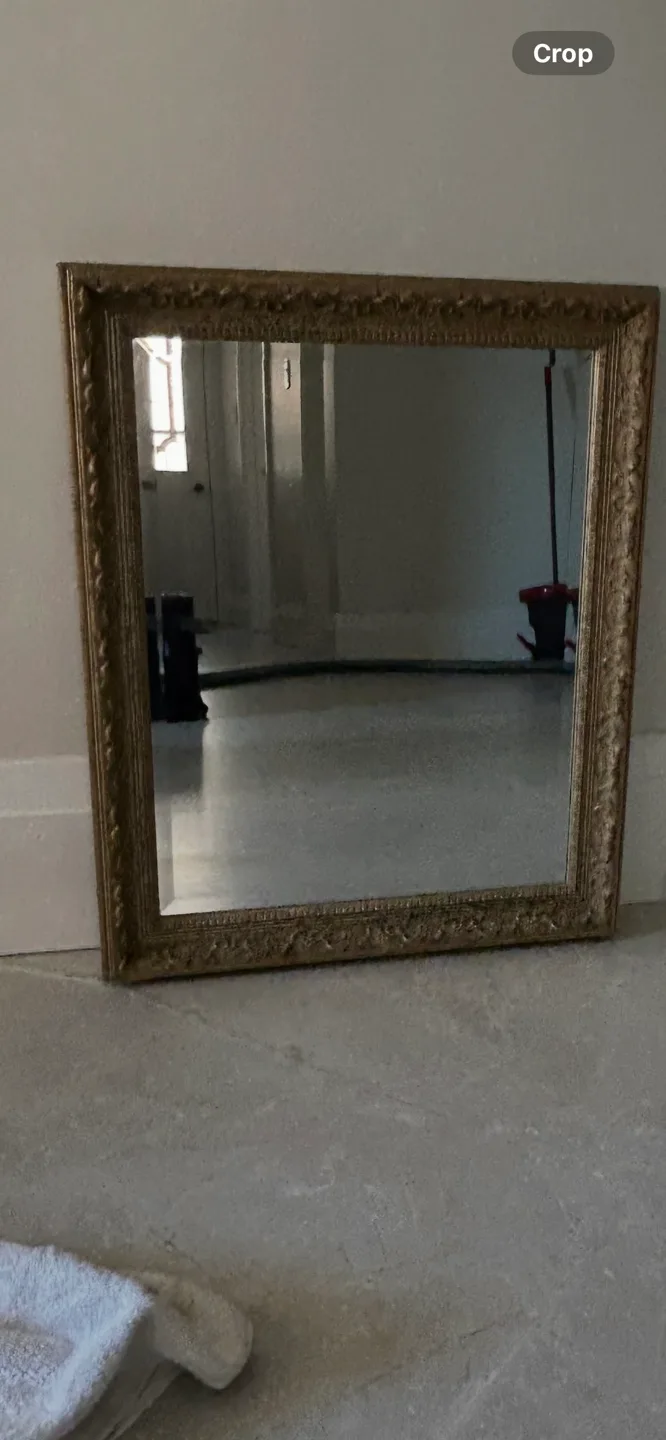 Ornate Gold Framed Wall Mirror image indicator(2)