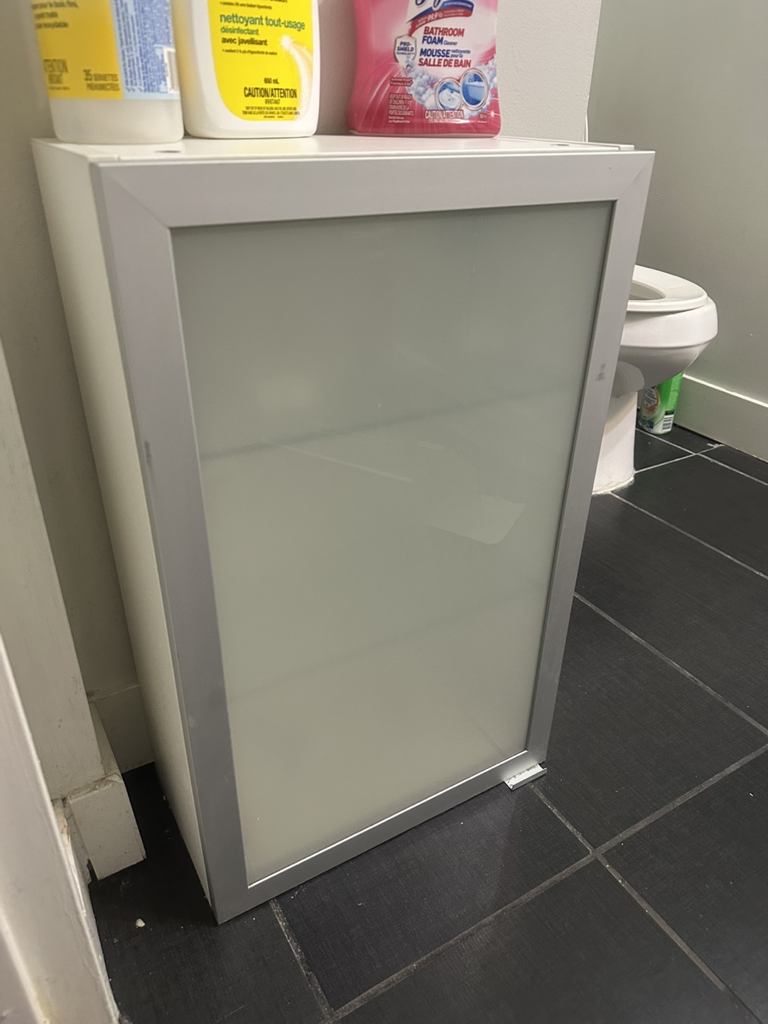 Bathroom Wall Cabinet with Frosted Glass Door