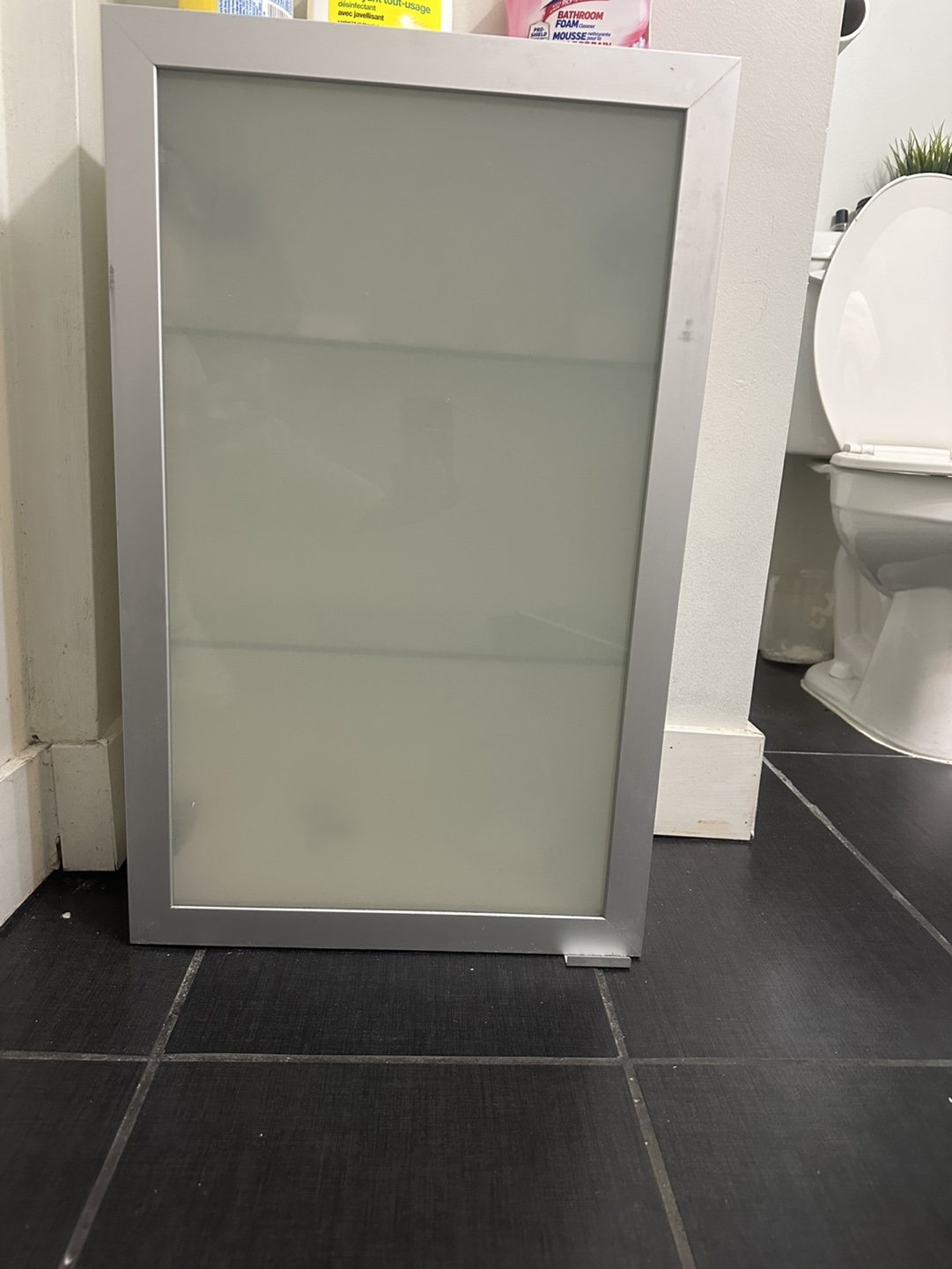 Bathroom Wall Cabinet with Frosted Glass Door - photo 3