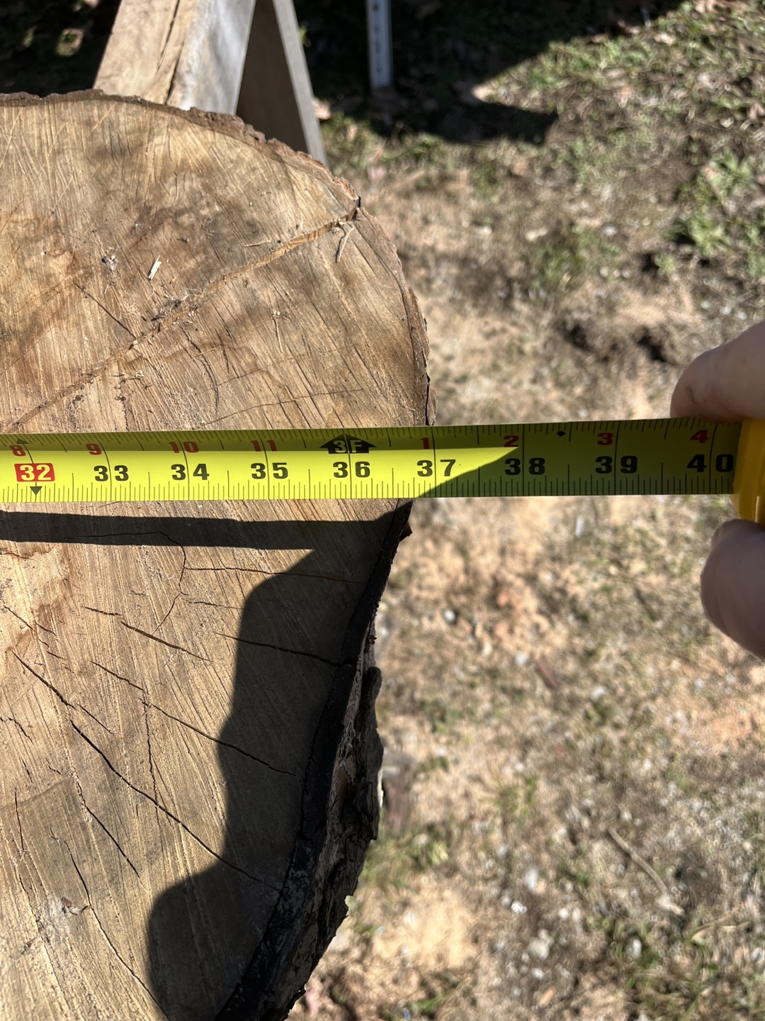 Large Live Edge Ash Wood Slab - Perfect for Tabletop! - photo 2