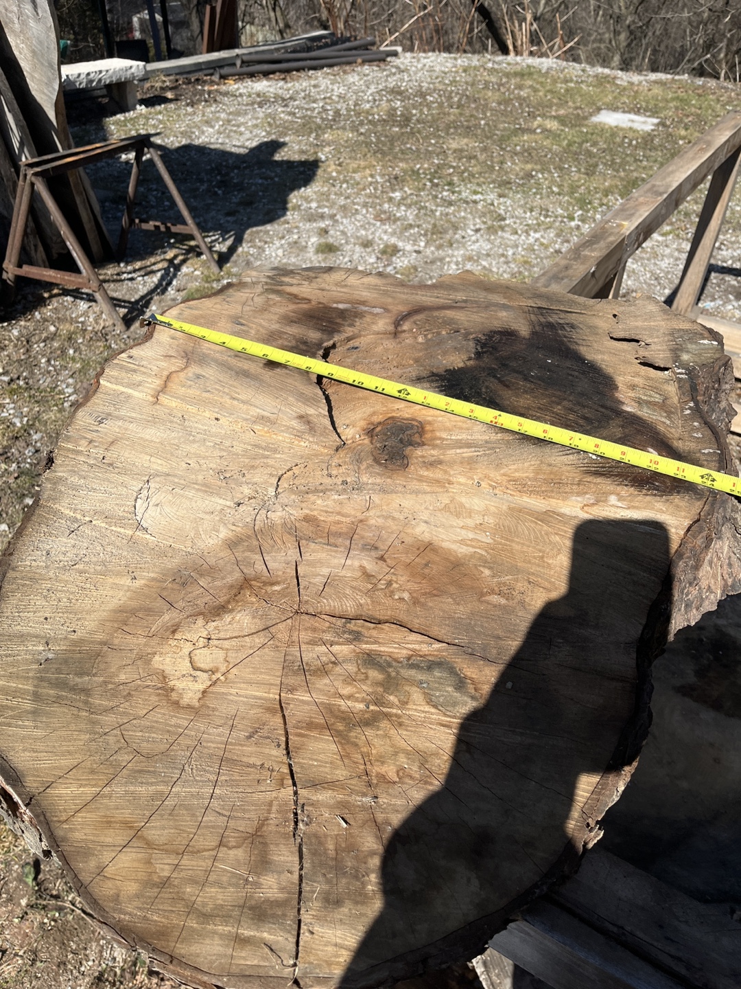 Large Live Edge Ash Wood Slab - Perfect for Tabletop! - photo 4