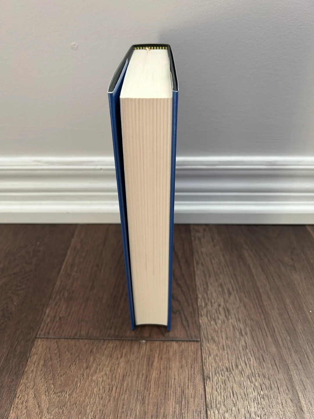 Brand New The Invisible Life of Addie LaRue Special Edition image indicator(4)