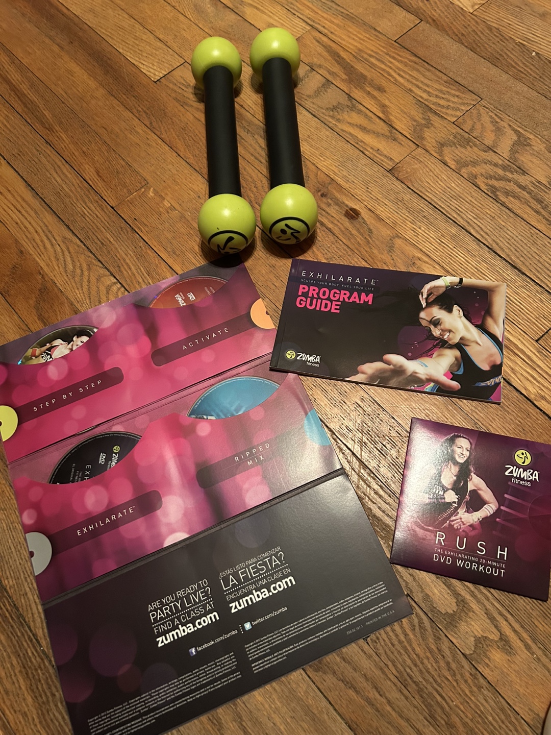 Zumba Fitness Exhilarate DVD Workout Set with Dumbbells