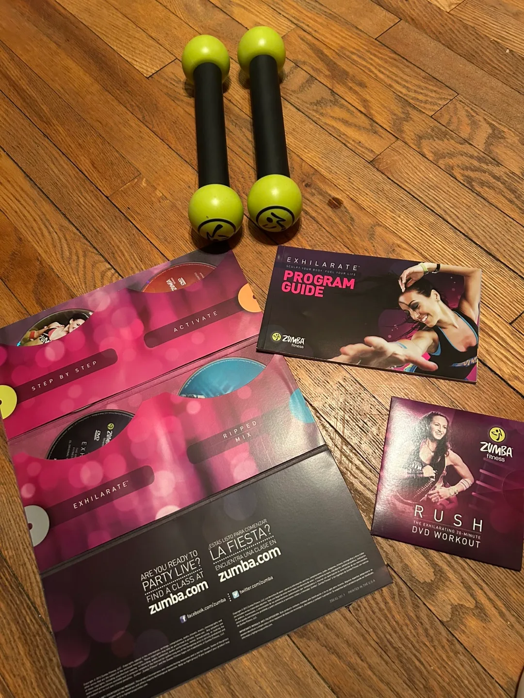 Zumba Fitness Exhilarate DVD Workout Set with Dumbbells