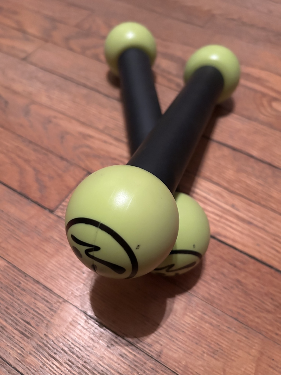 Zumba Fitness Exhilarate DVD Workout Set with Dumbbells - photo 4