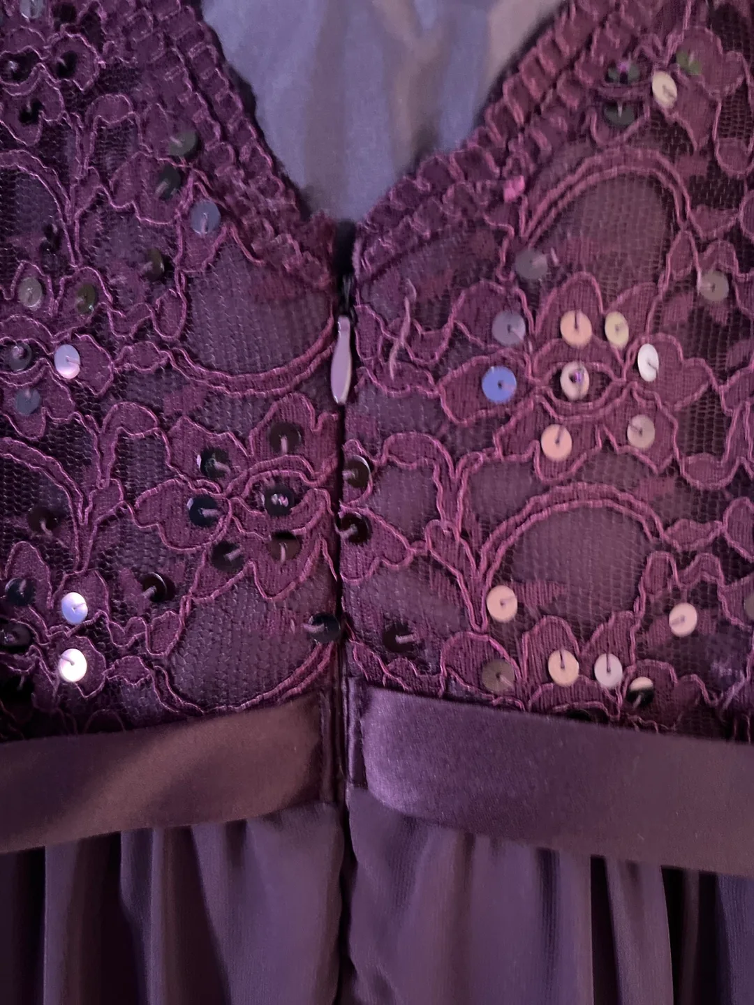 Eggplant Lace and Chiffon Maxi Dress image indicator(6)