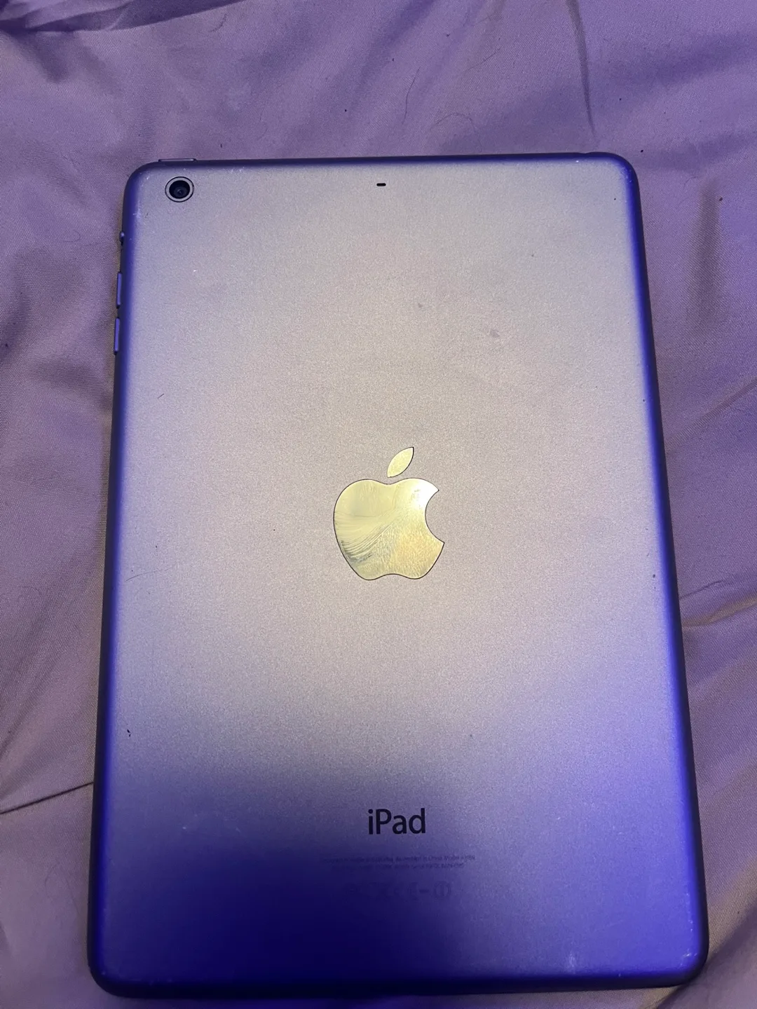 iPad Mini 2 image indicator(2)