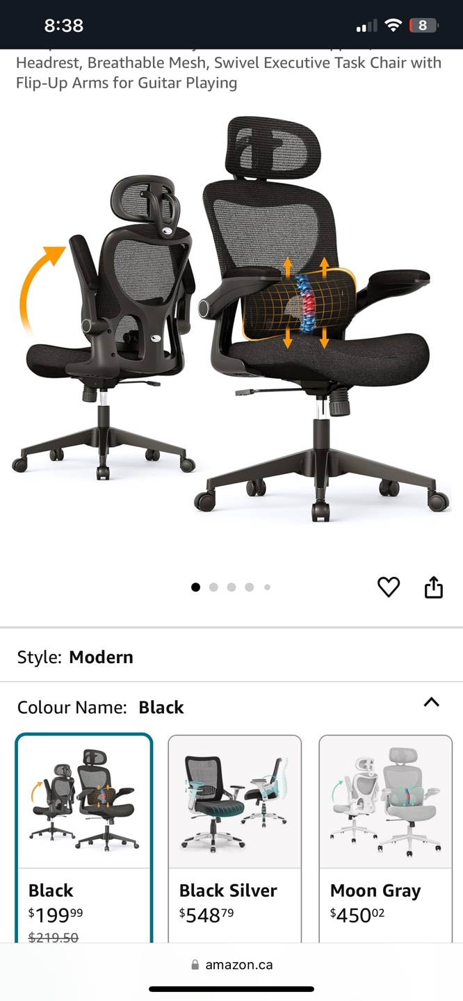 SUNNOW Ergonomics Chair - Black