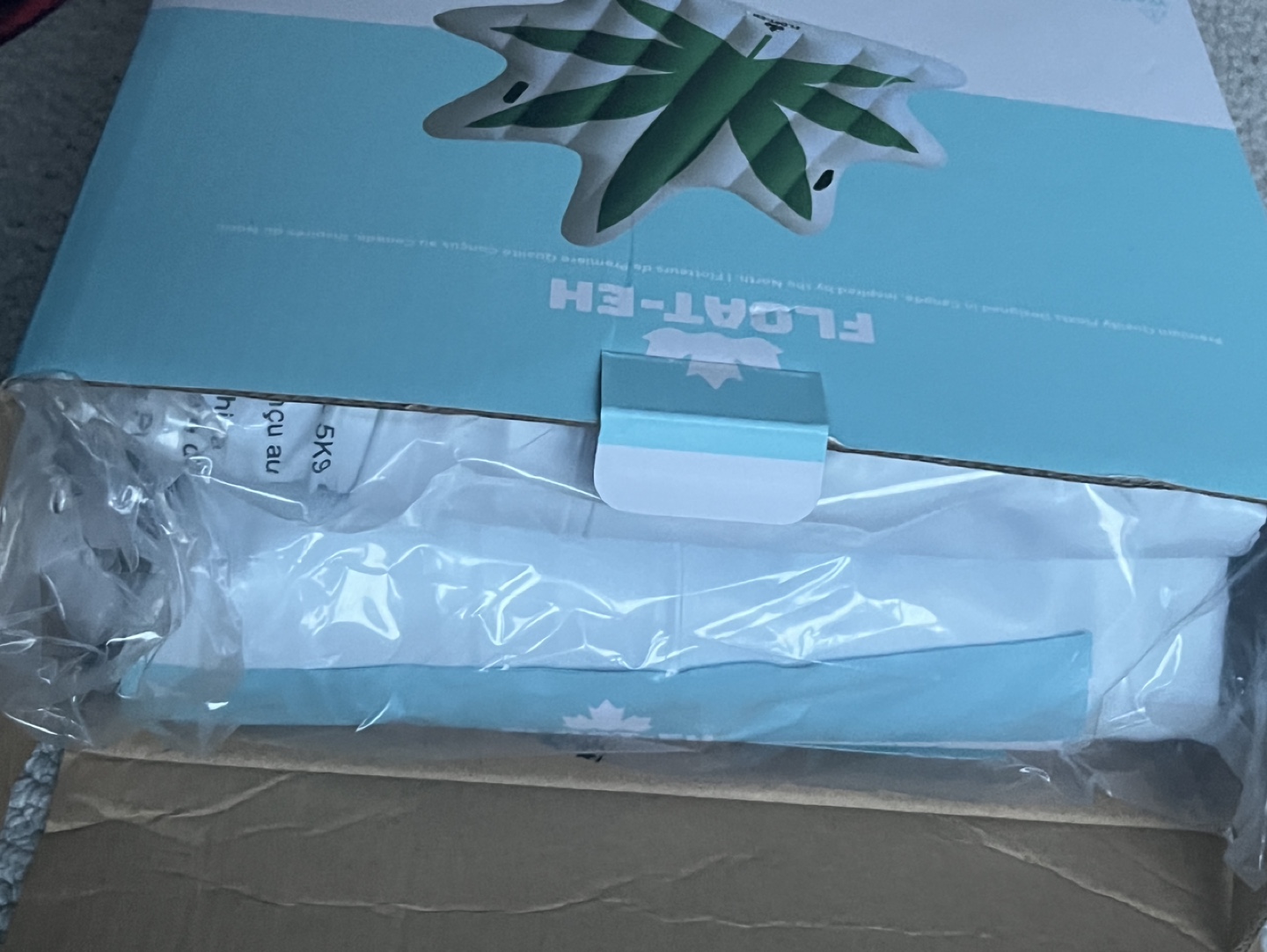 FLOAT-EH Green Leaf Pool Float - photo 3