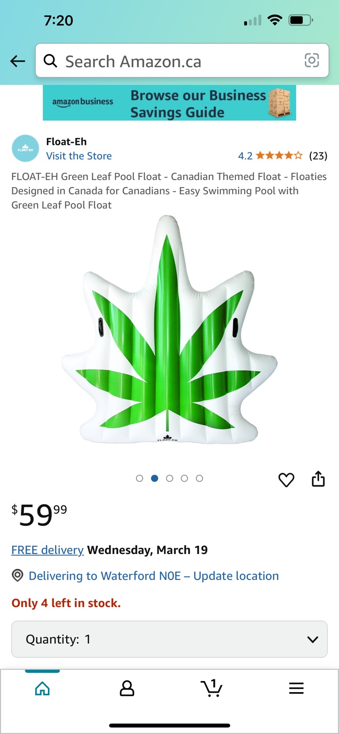 FLOAT-EH Green Leaf Pool Float - photo 5