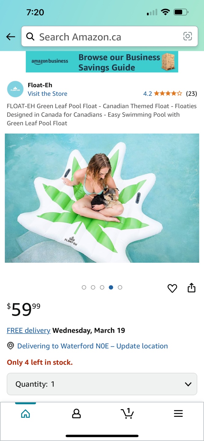 FLOAT-EH Green Leaf Pool Float - photo 4