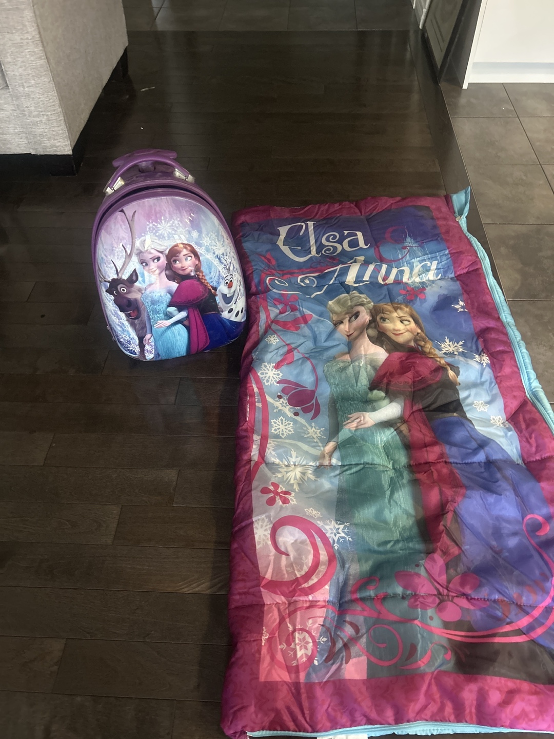 Frozen Elsa & Anna Rolling Suitcase & Sleeping Bag Set