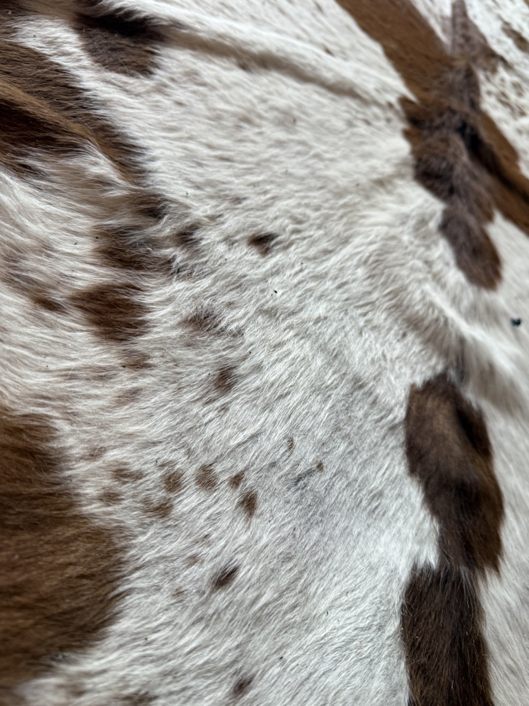 Cowhide Rug - Brown and White - photo 3