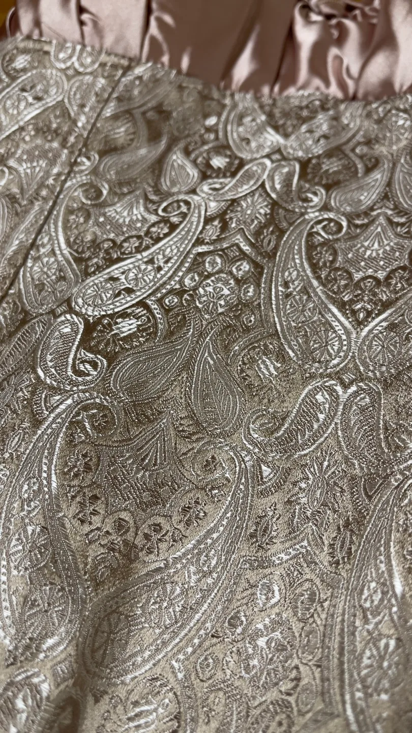 Champagne Brocade Corset Top image indicator(5)