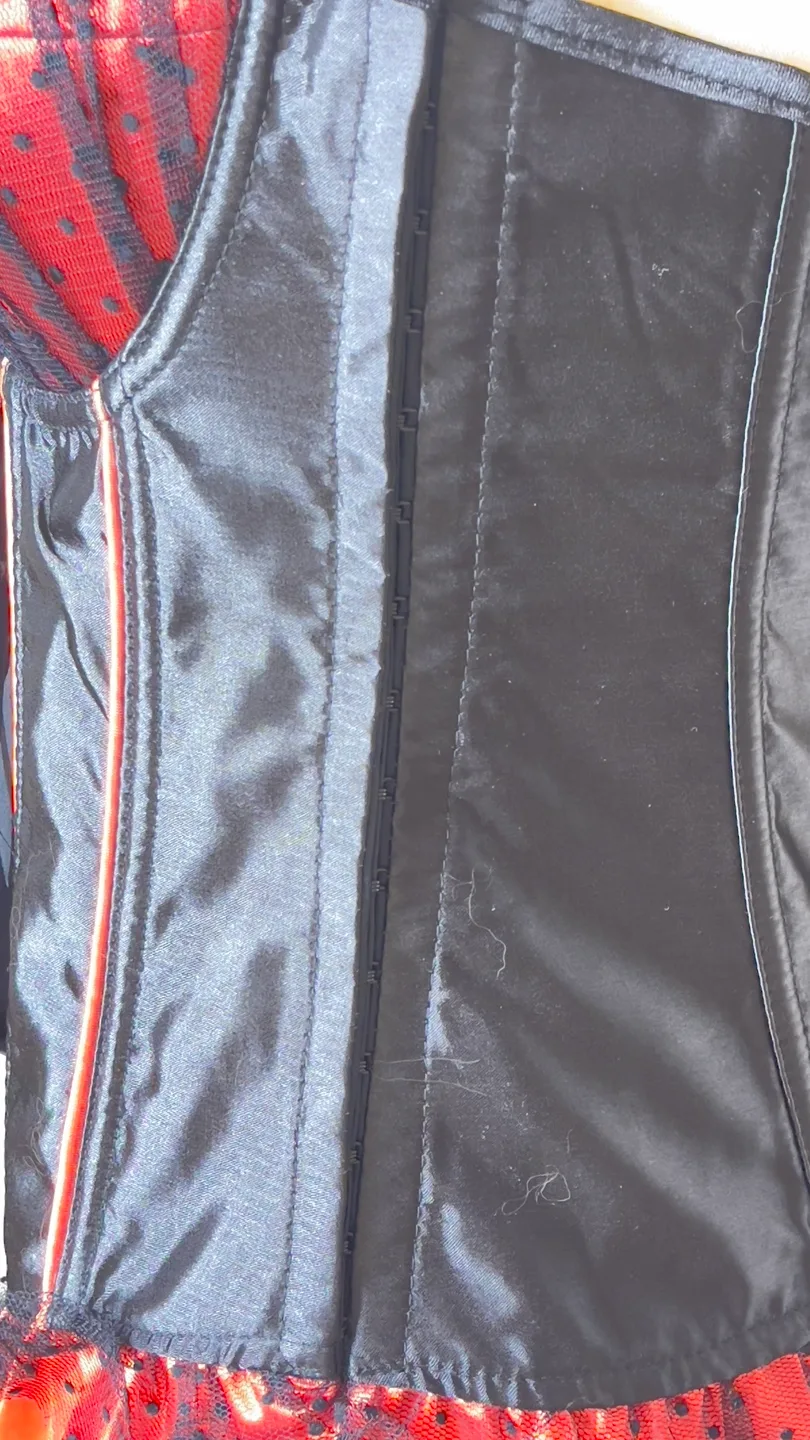 Black and Red Satin Corset with Lace Detail image indicator(5)