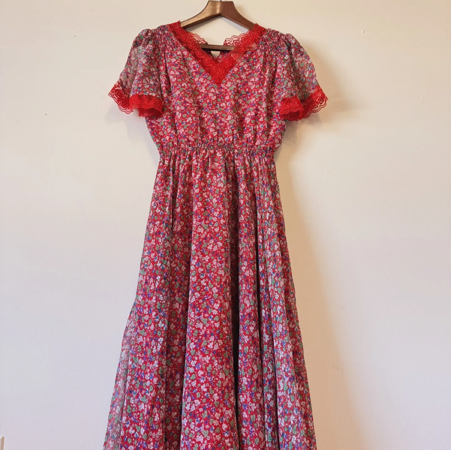 Vintage Red Floral Lace Dress image indicator(2)